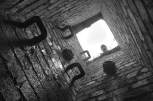 Foto down the rabbit hole